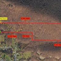65 acres Hunting and Recreational Property with Mature Timber in Limestone NY 676 Main St. images 2