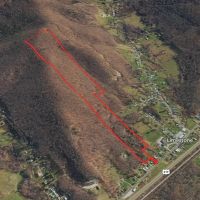 65 acres Hunting and Recreational Property with Mature Timber in Limestone NY 676 Main St. images 3