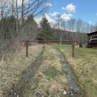 65 acres Hunting and Recreational Property with Mature Timber in Limestone NY 676 Main St. images 5