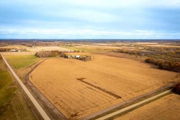 Live Farm Hunt 43774 Otter Tail Line Rd Bertha MN Todd Co. featured image