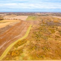 Live Farm Hunt 43774 Otter Tail Line Rd Bertha MN Todd Co. images 2