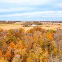 Live Farm Hunt 43774 Otter Tail Line Rd Bertha MN Todd Co. images 3