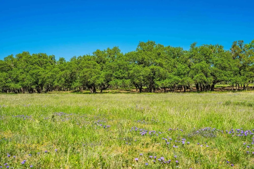 Kerr County High Point Ranch W of Harper featured image