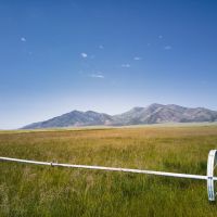 Flowing Wells aka Chicken Ranch images 3