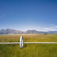 Flowing Wells aka Chicken Ranch images 4