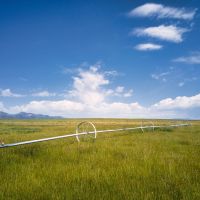 Flowing Wells aka Chicken Ranch images 5