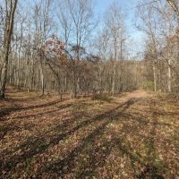 67 acres Hunting Land and Recreational Land in Campbell NY Wolf Run Road