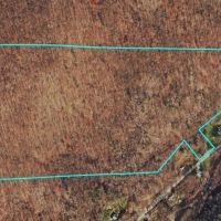 67 acres Hunting Land and Recreational Land in Campbell NY Wolf Run Road images 2