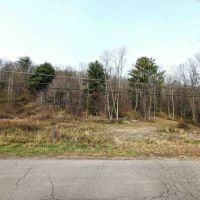 67 acres Hunting Land and Recreational Land in Campbell NY Wolf Run Road images 3