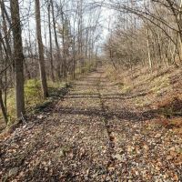 67 acres Hunting Land and Recreational Land in Campbell NY Wolf Run Road images 4