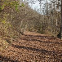 67 acres Hunting Land and Recreational Land in Campbell NY Wolf Run Road images 5