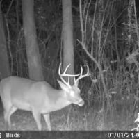 Calera Tract images 3