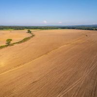245 - Acres Row Crop Jamestown Batesville AR images 5