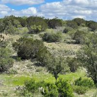 367 - Acres with 2 homes and barn on the Llano River images 2