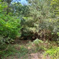 129 Acres Walker Loop images 4