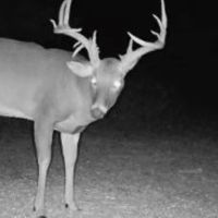 Woodson County Whitetail Mecca images 5