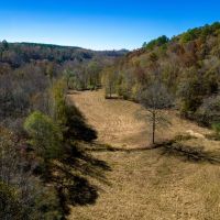 Scott Family Farm - 505 - Acres images 5