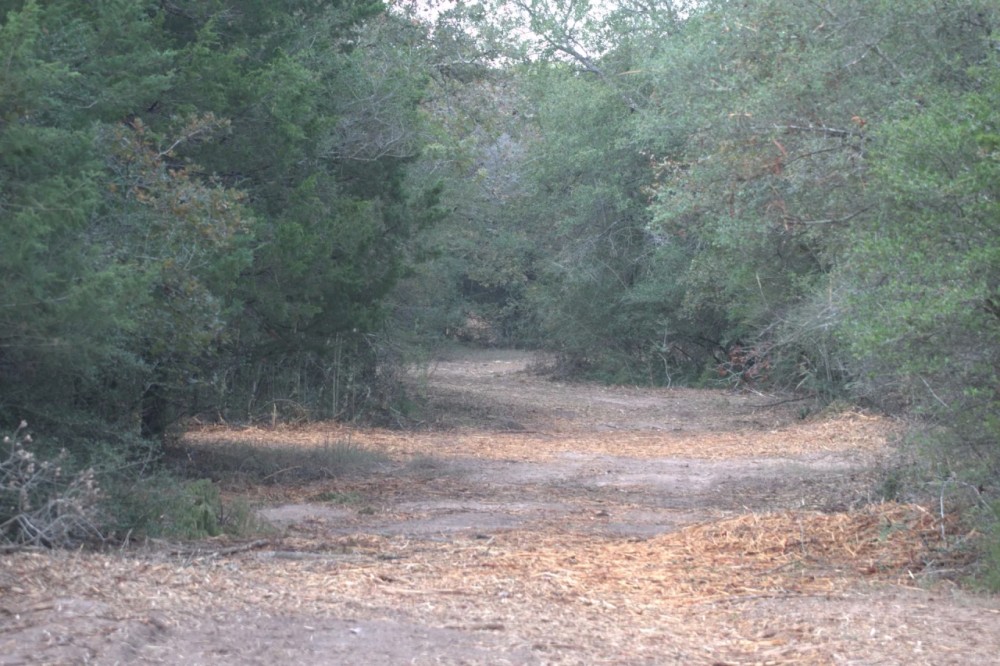 WILDWOOD RANCHES TRACT 2 featured image