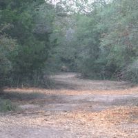 WILDWOOD RANCHES TRACT 2