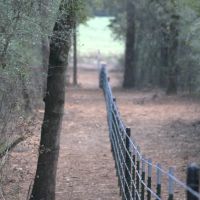 WILDWOOD RANCHES TRACT 2 images 5