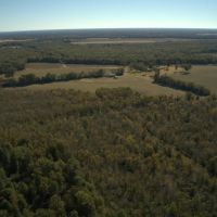 620 - Acres High Fence with Lodge for Sale Northeast LA
