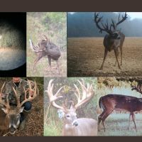 620 - Acres High Fence with Lodge for Sale Northeast LA images 2