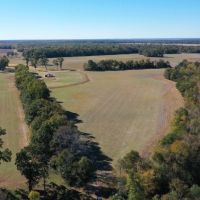 620 - Acres High Fence with Lodge for Sale Northeast LA images 5