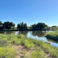 New Listing 62 - Acres Brown County images 3