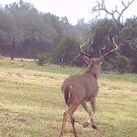 J Vann Jones Ranch images 2