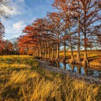 Kerr County Cypress Creek Ranch NW of Comfort images 2
