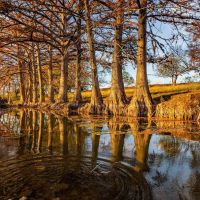 Kerr County Cypress Creek Ranch NW of Comfort images 4