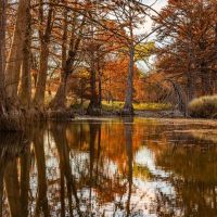 Kerr County Cypress Creek Ranch NW of Comfort images 5