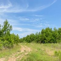 283 Acres T-10 Red Hollow images 2