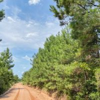 283 Acres T-10 Red Hollow images 3