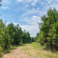 283 Acres T-10 Red Hollow images 4