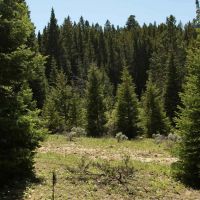 Indart Ranch images 5