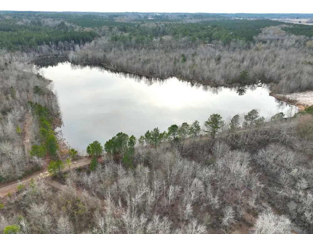 71 - Ac Land for Sale with 8 Ac Pond for Sale in Dodge County Ga featured image