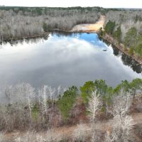 71 - Ac Land for Sale with 8 Ac Pond for Sale in Dodge County Ga images 2