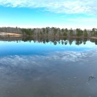 71 - Ac Land for Sale with 8 Ac Pond for Sale in Dodge County Ga images 3