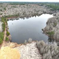 71 - Ac Land for Sale with 8 Ac Pond for Sale in Dodge County Ga images 4