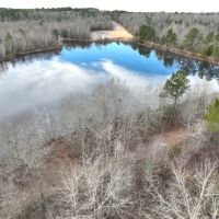 71 - Ac Land for Sale with 8 Ac Pond for Sale in Dodge County Ga images 5