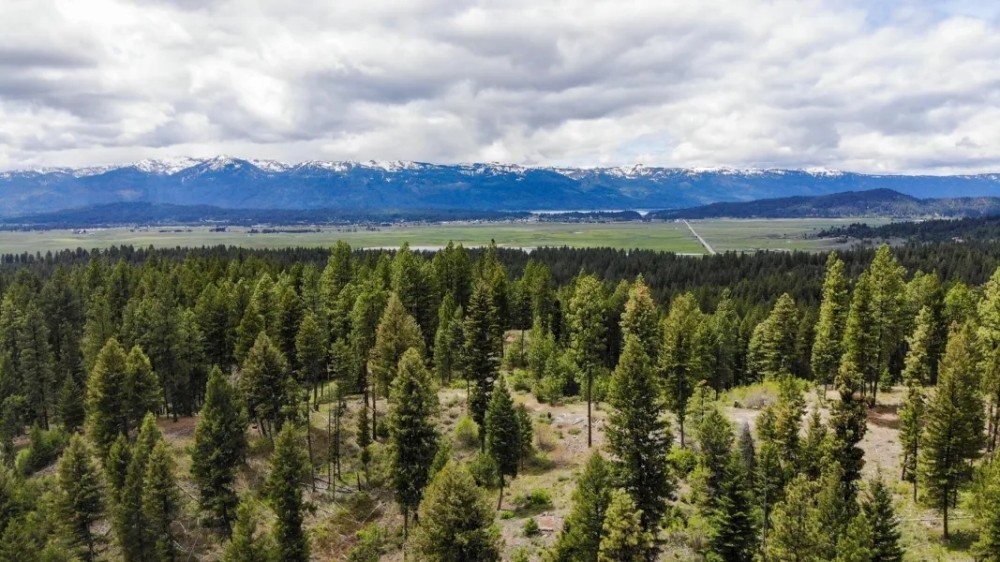 Warm Lake Recreation Land featured image