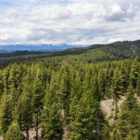 Warm Lake Recreation Land images 4