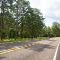 61 Acres T-17 Stryker Mill images 4
