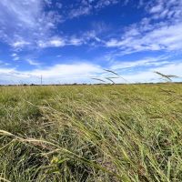 ROCK ISLAND Tract 6 14 Acres Only 10K Down images 2
