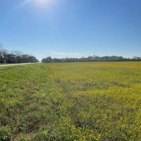 ROCK ISLAND Tract 6 14 Acres Only 10K Down images 4