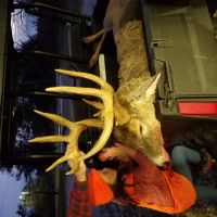 MO - Knox County 115 acres -