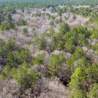 0 Whispering Pines Drive Lumberton Texas 77657 Hardin County images 2