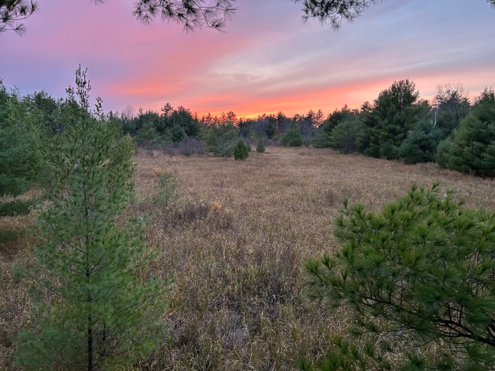 Beautiful Sportsman s Retreat Jackson County WI featured image
