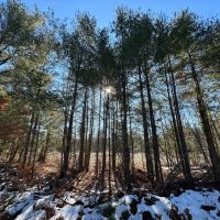 Beautiful Sportsman s Retreat Jackson County WI images 4